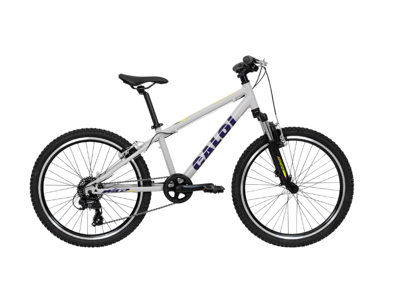 Bicicleta Caloi Wild Aro 24